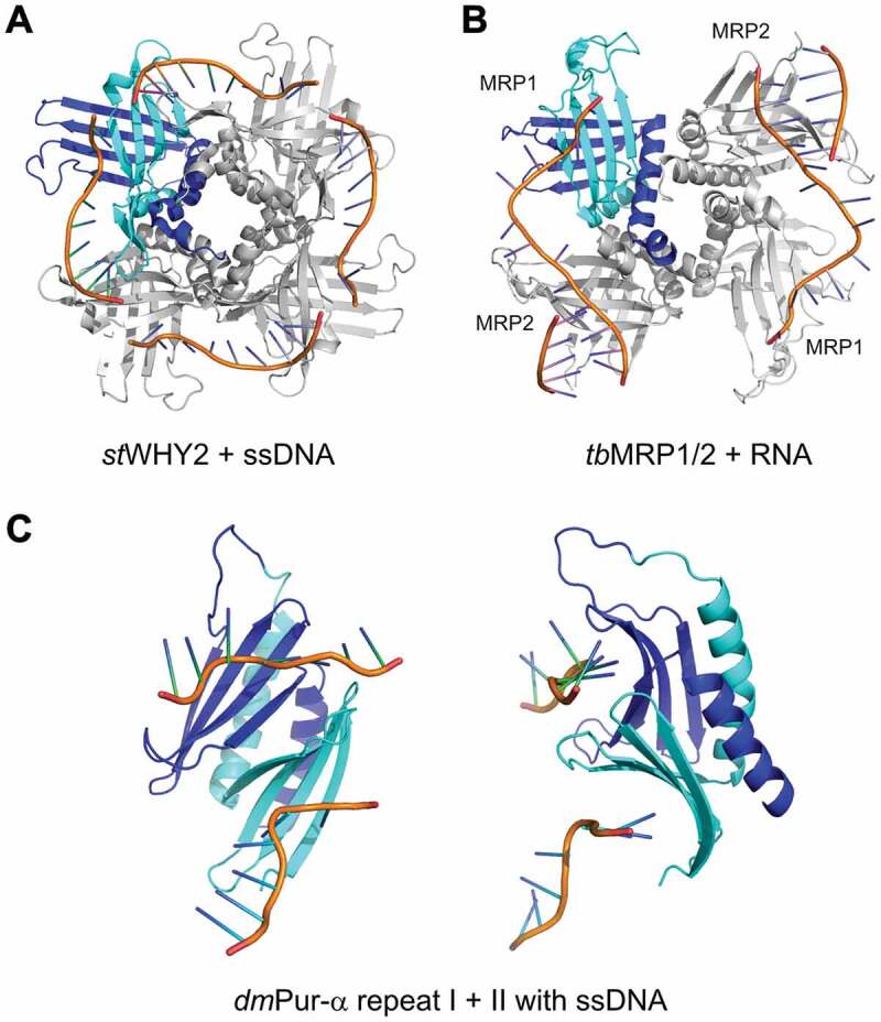 Figure 4.