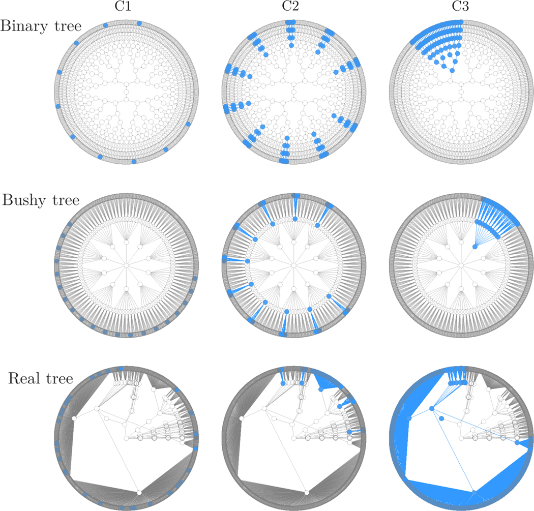 Figure 2: