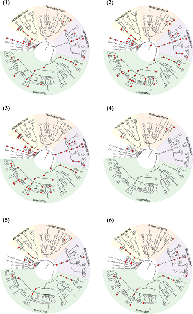 Figure 6: