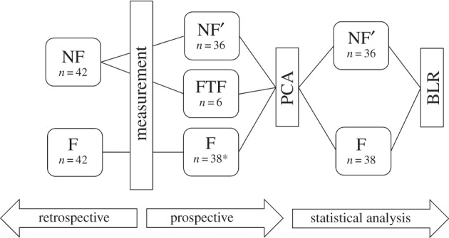 Figure 1.