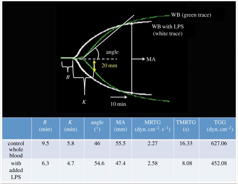 Figure 7.