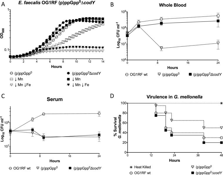 FIG 4