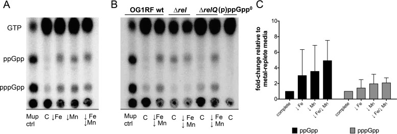 FIG 3