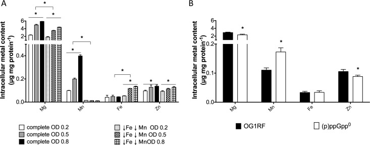 FIG 6