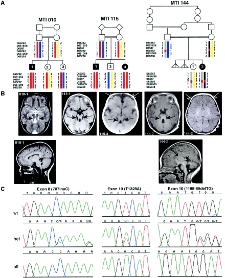 Figure  1