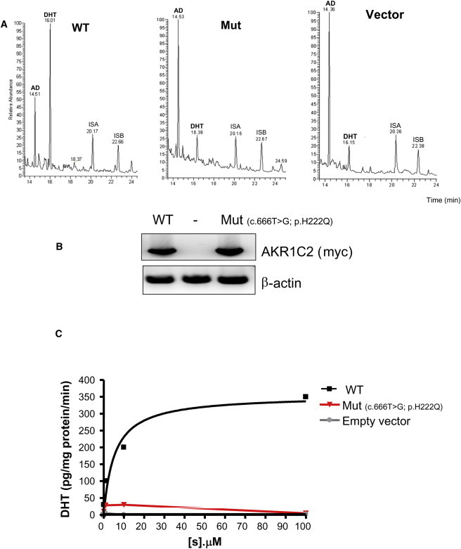 Figure 7