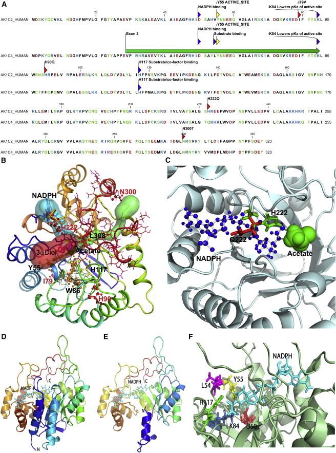 Figure 5