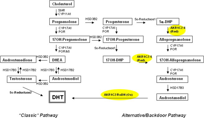 Figure 1