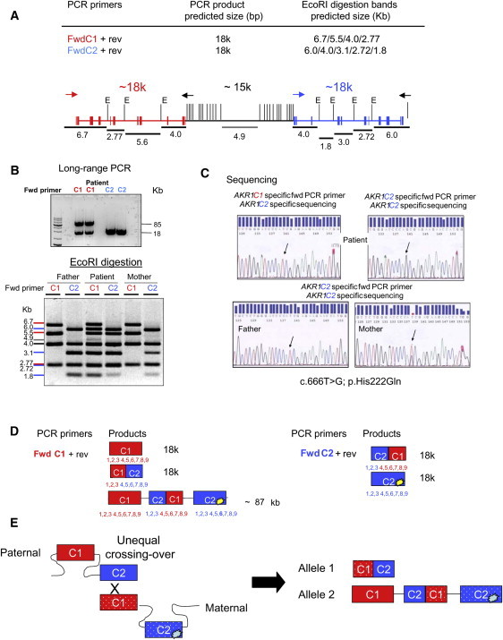 Figure 4