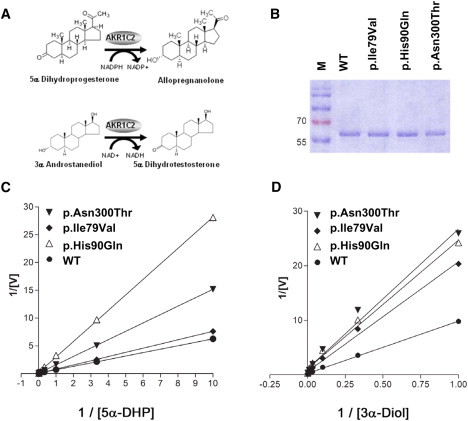 Figure 6