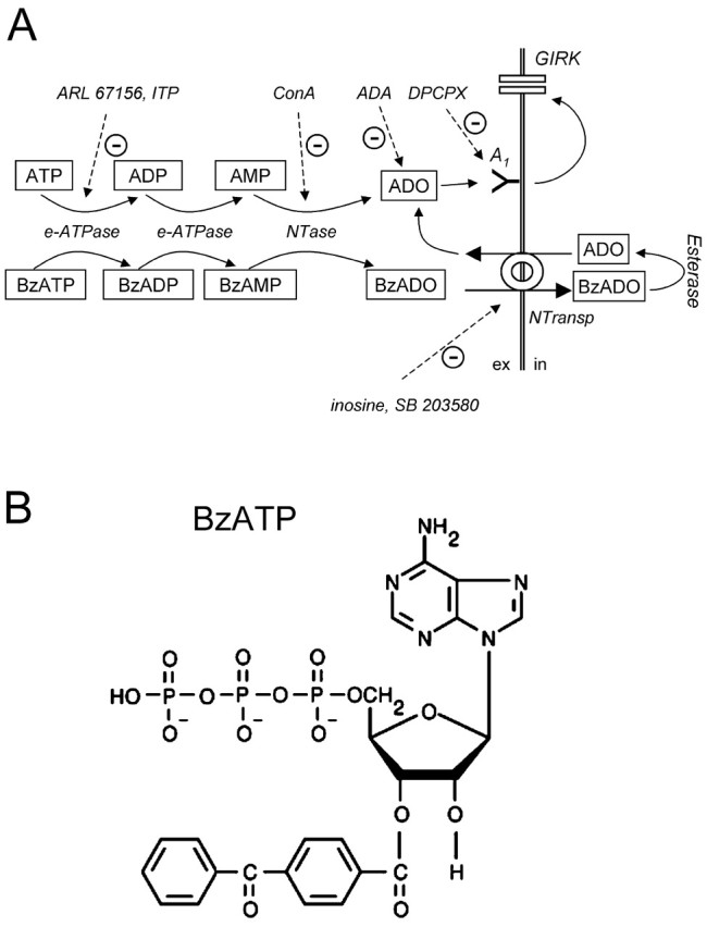 
Figure 9.
