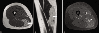 Figure 11:
