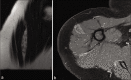 Figure 12: