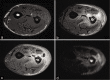 Figure 15: