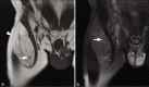 Figure 10: