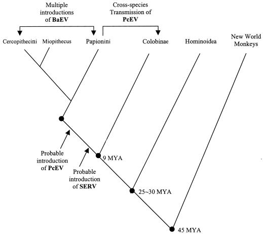 FIG. 1