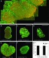 FIG. 7.