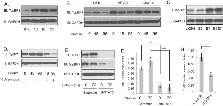 FIG 5 