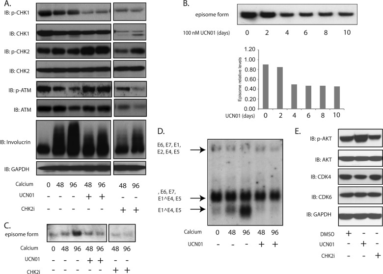 FIG 3 