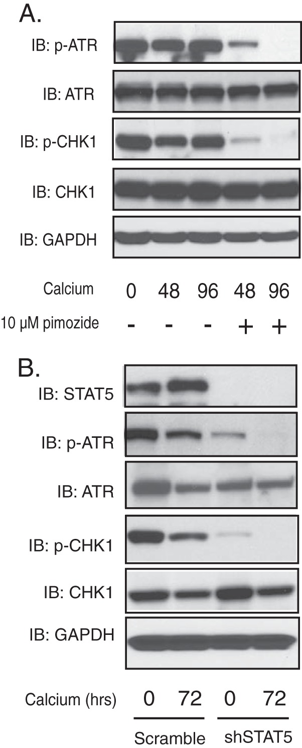 FIG 4 