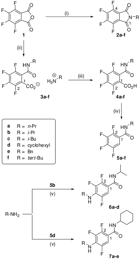 Scheme 1.