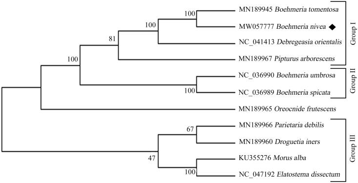 Figure 1.