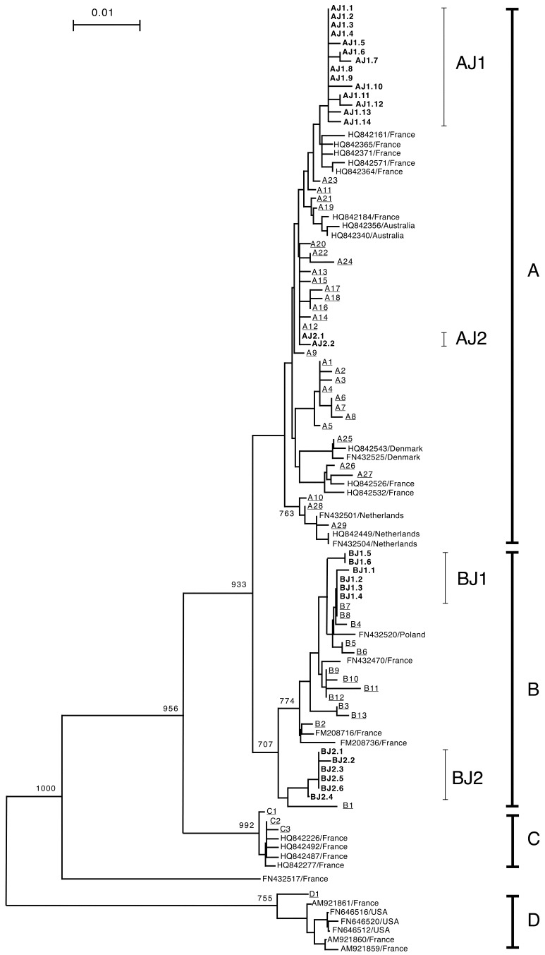 Fig. 1.