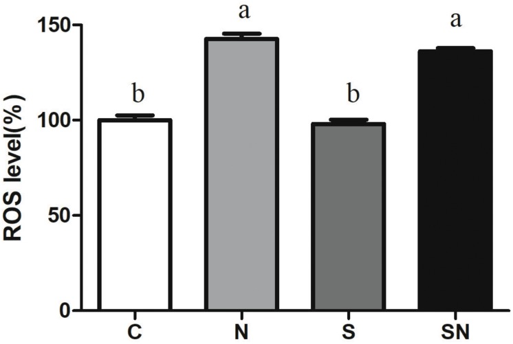 FIGURE 4