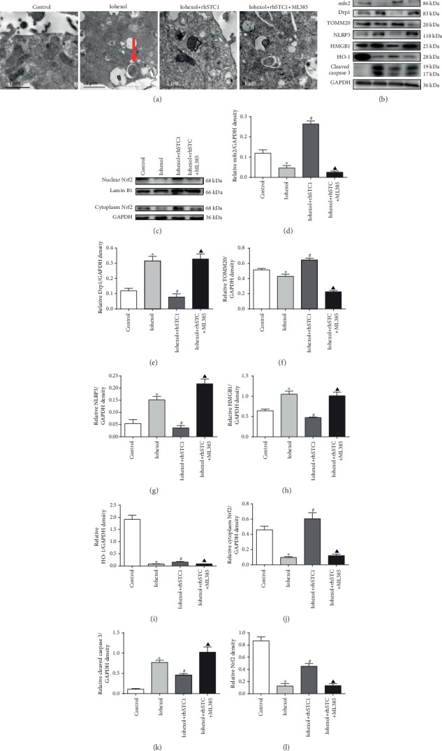 Figure 10