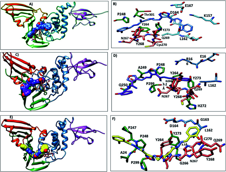 Fig. 10