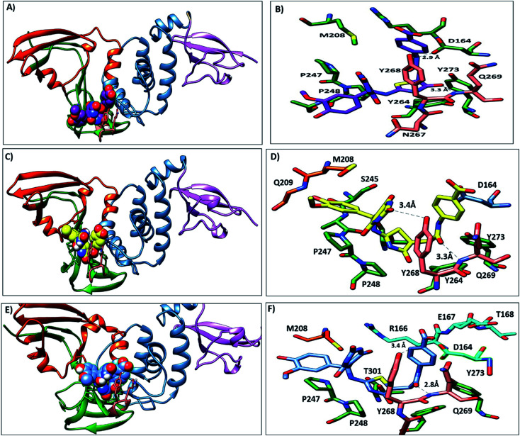 Fig. 9