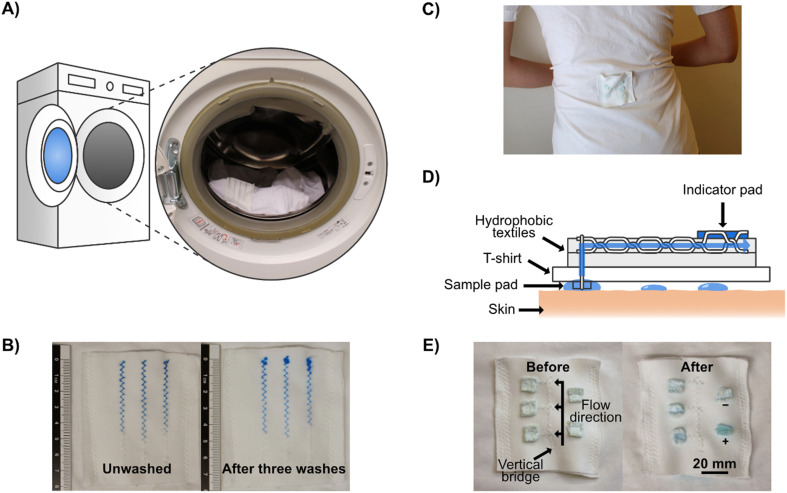 Fig. 4