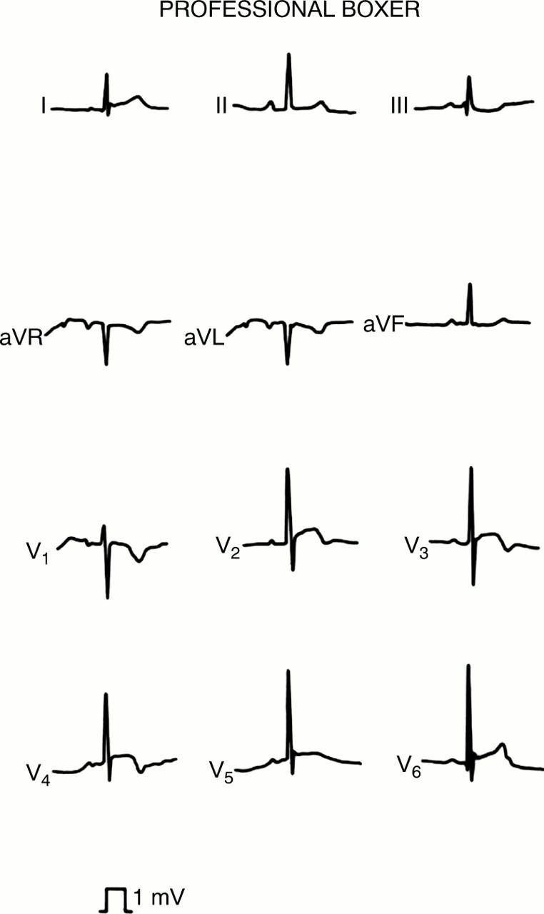 Figure 2:  