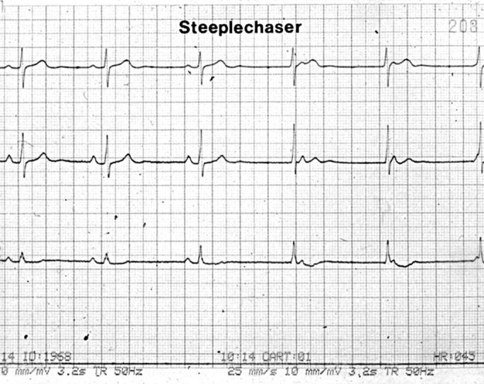 Figure 3:  