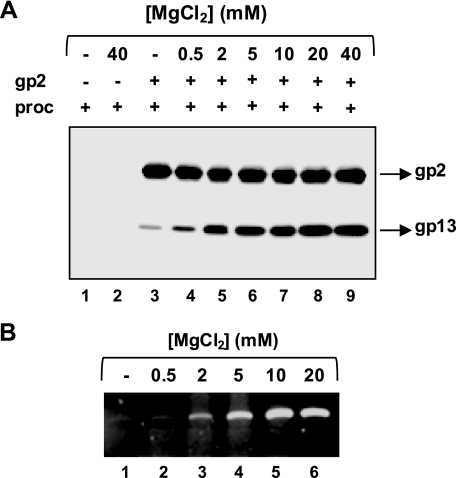 FIGURE 4.