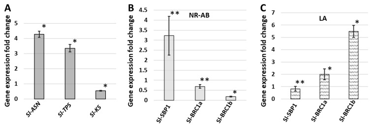 Figure 10