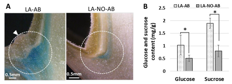 Figure 9