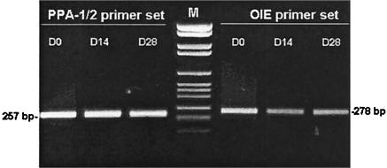 FIG. 5.