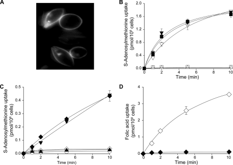 FIGURE 4.