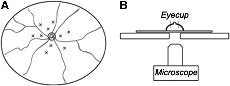 FIG. 1.