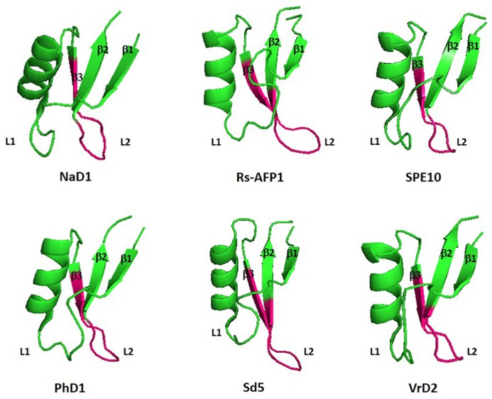 FIGURE 2