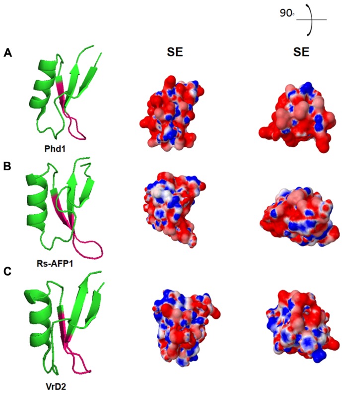 FIGURE 3