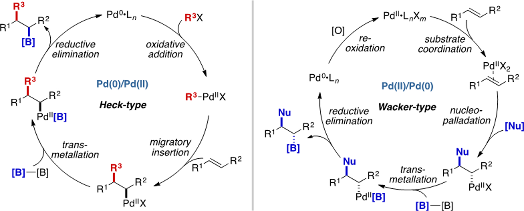 Scheme 12.