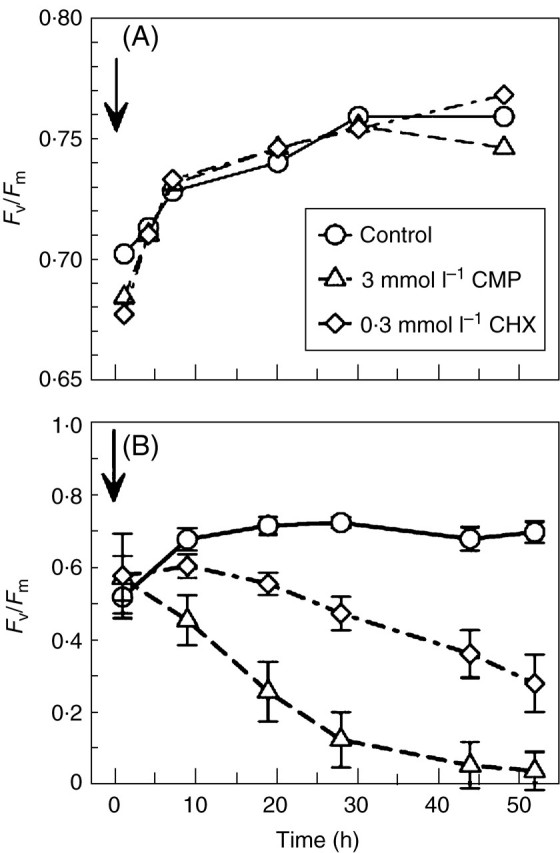 Fig. 6.