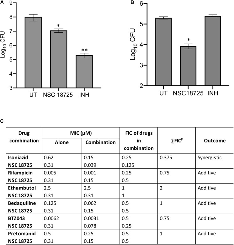 FIGURE 2