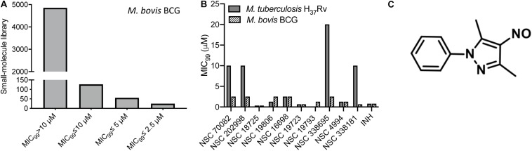 FIGURE 1