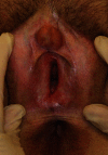 Fig. 6
