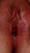 Fig. 7