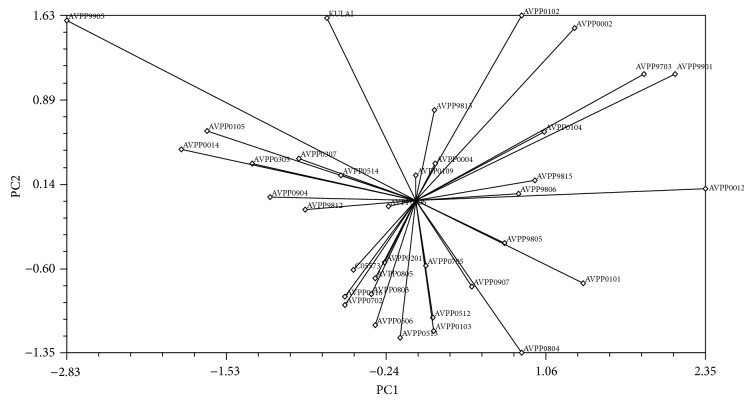 Figure 4