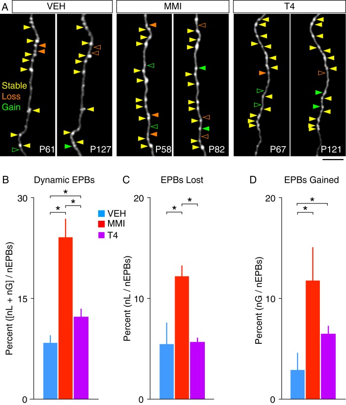 Figure 4.